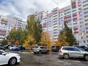 Фото к объявлению #21289630