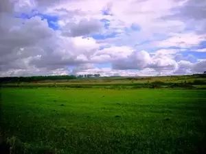 Фото к объявлению #19637202