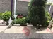 Фото к объявлению #