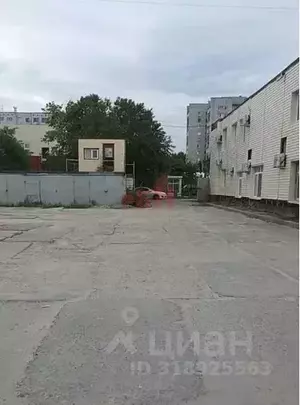 Фото к объявлению #22085457