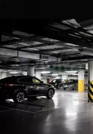 Фото к объявлению #22171186