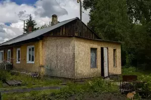 Фото к объявлению #20605865