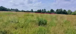 Фото к объявлению #20021643