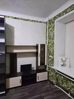 Фото к объявлению #22289354