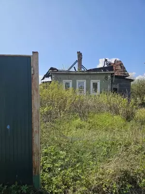 Фото к объявлению #22119621