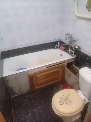 Фото к объявлению #20924283