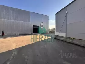 Фото к объявлению #22196749