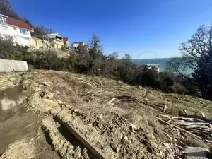 Фото к объявлению #20254022