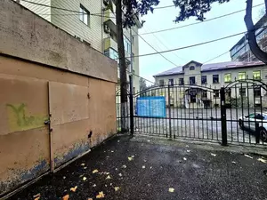 Фото к объявлению #22254785