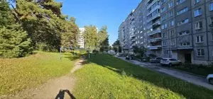 Фото к объявлению #21045571