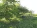 Фото к объявлению #