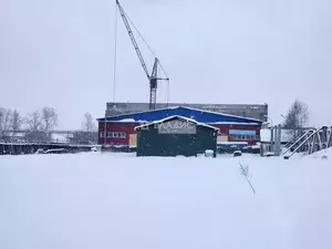 Фото к объявлению #22245452