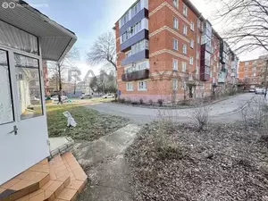 Фото к объявлению #21937464