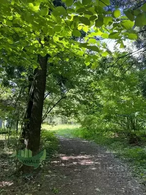 Фото к объявлению #22203967