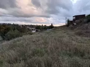Фото к объявлению #22223928