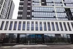 Фото к объявлению #22121874