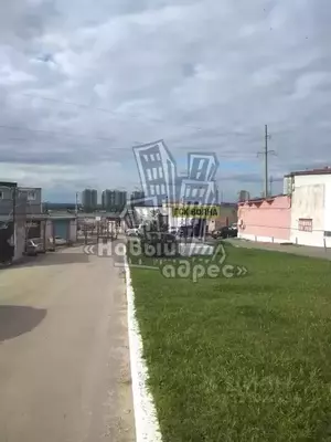 Фото к объявлению #22196053