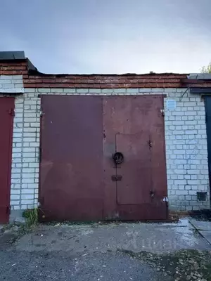 Фото к объявлению #22212029