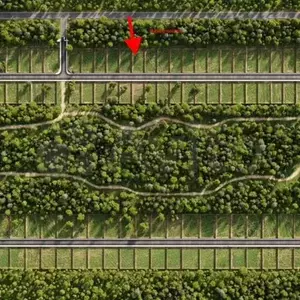 Фото к объявлению #22170455