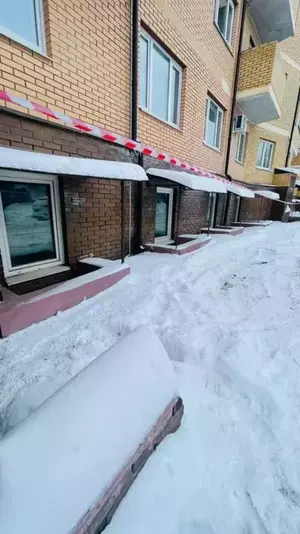 Фото к объявлению #21914847