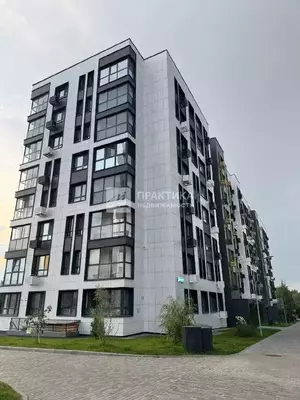 Фото к объявлению #22145772