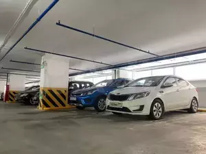 Фото к объявлению #20138681