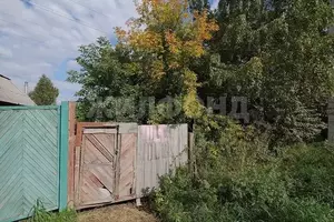 Фото к объявлению #22038890