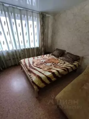 Фото к объявлению #22265157