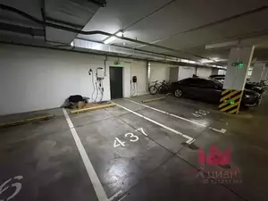 Фото к объявлению #22195795