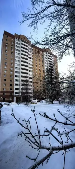 Фото к объявлению #22272930