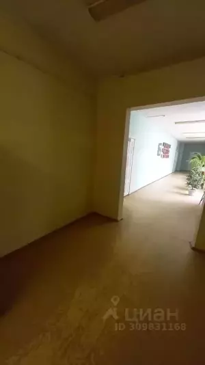 Фото к объявлению #21774128