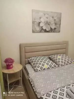 Фото к объявлению #22273523