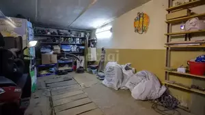 Фото к объявлению #22216511