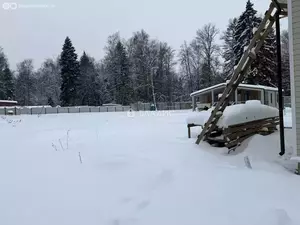 Фото к объявлению #22268361