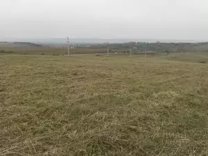 Фото к объявлению #22204954