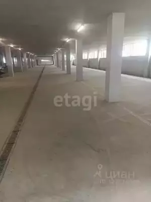 Фото к объявлению #22212942