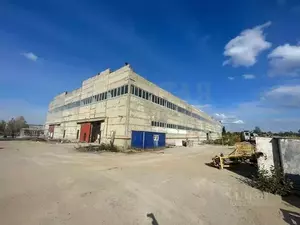 Фото к объявлению #22196703