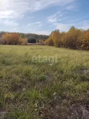 Фото к объявлению #22276708