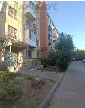 Фото к объявлению #22282927