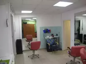 Фото к объявлению #22250576