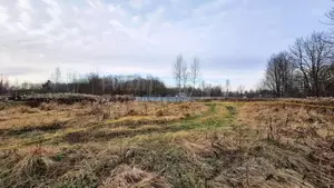 Фото к объявлению #22271256