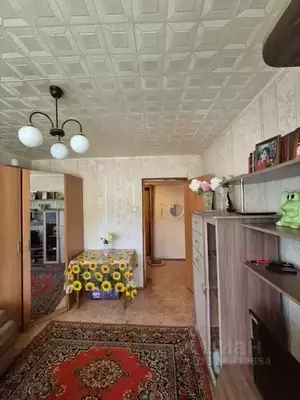 Фото к объявлению #21059968