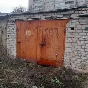 Фото к объявлению #22245768