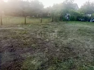 Фото к объявлению #22159375