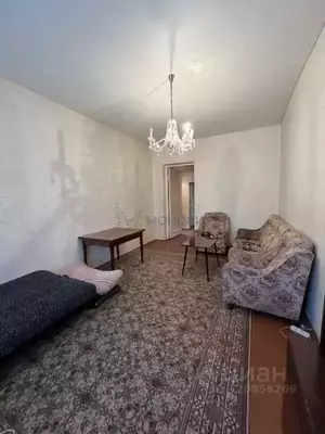 Фото к объявлению #22190696