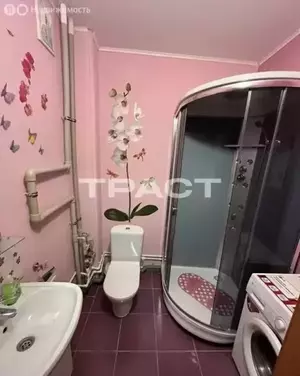 Фото к объявлению #20615834