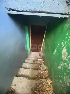 Фото к объявлению #22167848