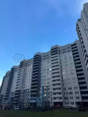 Фото к объявлению #21658135