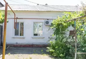 Фото к объявлению #20673186