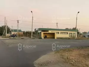 Фото к объявлению #22217929